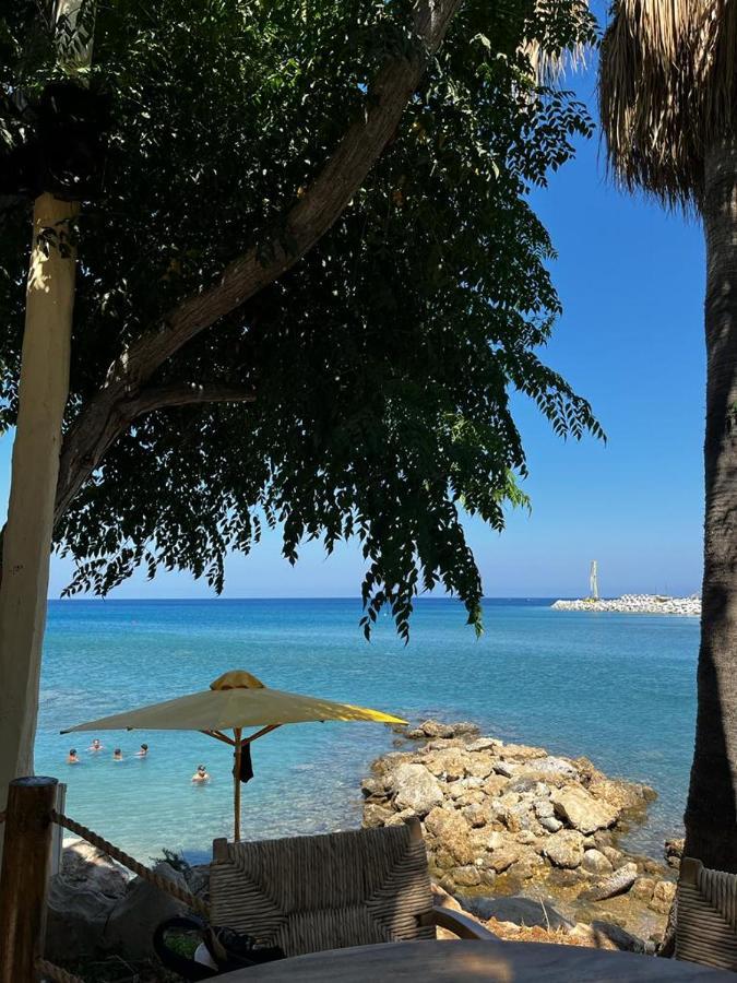 Viking Family Superior Lux Lejlighed Ayia Napa Eksteriør billede