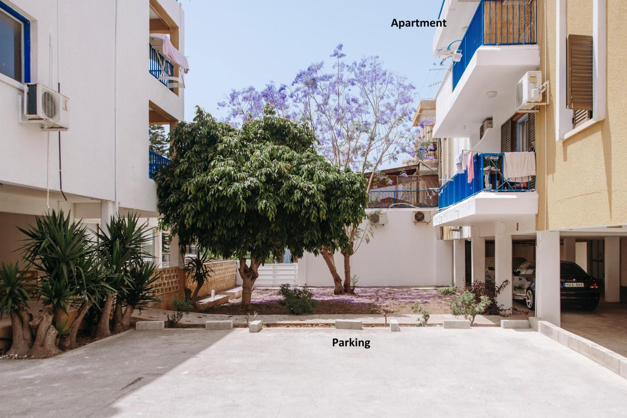 Viking Family Superior Lux Lejlighed Ayia Napa Eksteriør billede